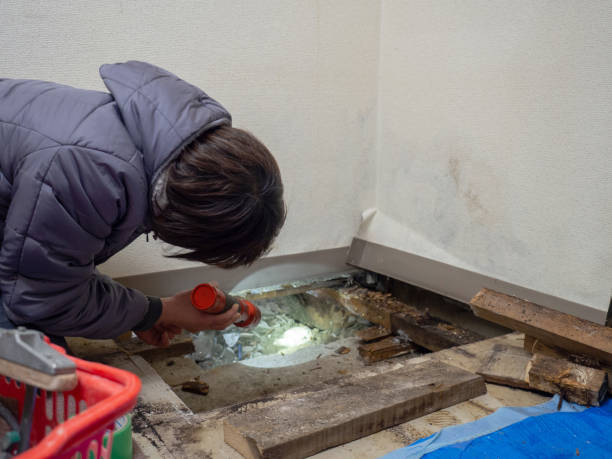 Best Mold Documentation for Insurance Claims  in Hotchkiss, CO