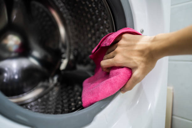 Best Dehumidification Services  in Hotchkiss, CO