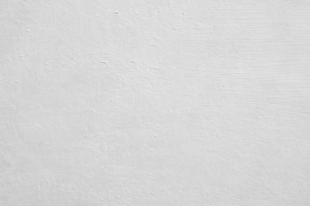 Environmental Consulting for Mold Prevention in Hotchkiss, CO
