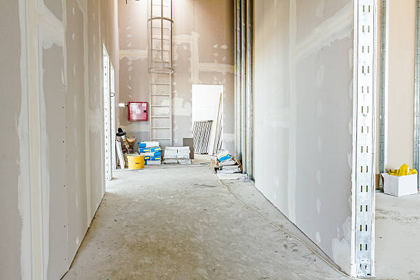 Best Residential Mold Inspection & Testing  in Hotchkiss, CO