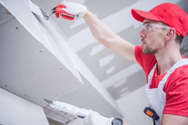 Best Commercial Mold Inspection  in Hotchkiss, CO